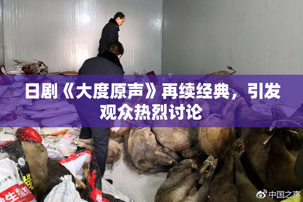 日剧《大度原声》再续经典，引发观众热烈讨论