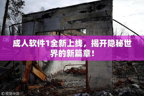 成人软件1全新上线，揭开隐秘世界的新篇章！