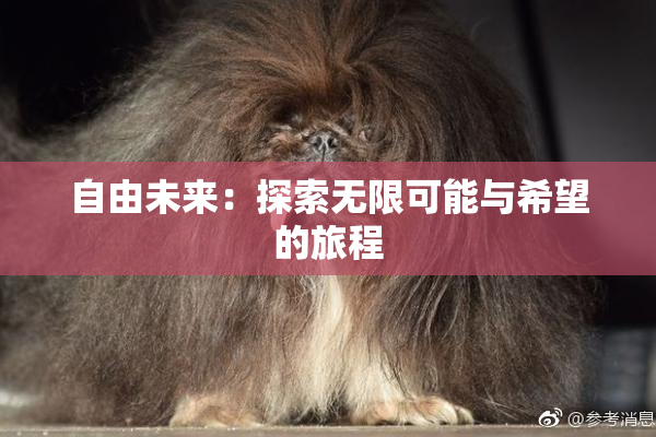自由未来：探索无限可能与希望的旅程