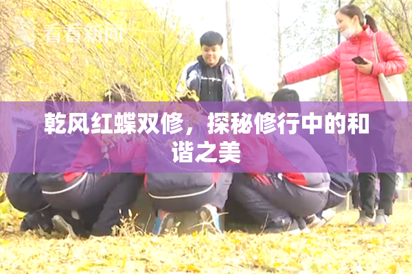 乾风红蝶双修，探秘修行中的和谐之美