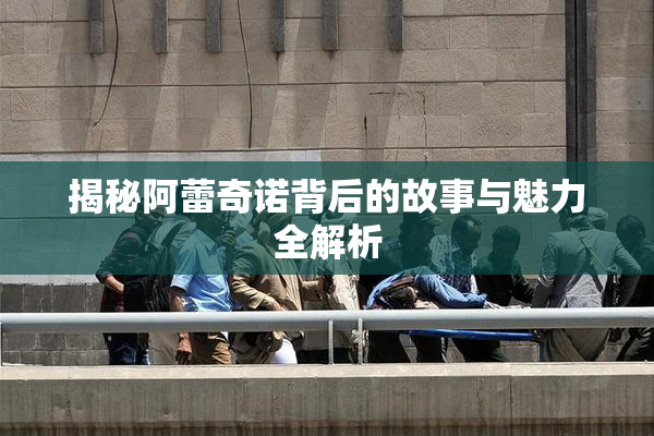 揭秘阿蕾奇诺背后的故事与魅力全解析