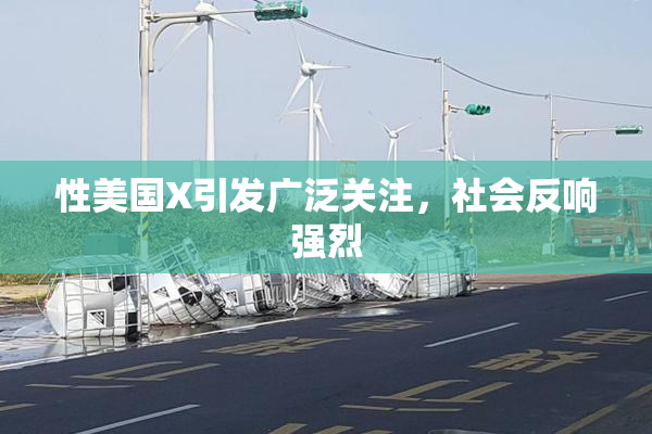 性美国X引发广泛关注，社会反响强烈