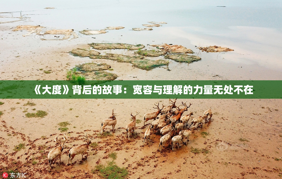 《大度》背后的故事：宽容与理解的力量无处不在