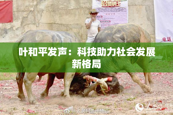 叶和平发声：科技助力社会发展新格局