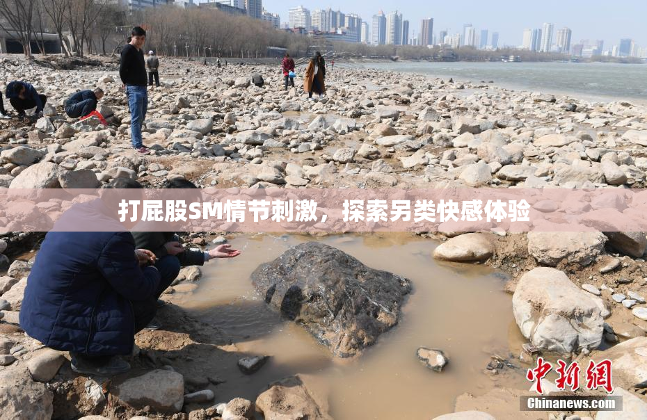打屁股SM情节刺激，探索另类快感体验