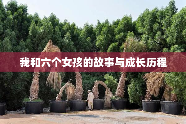 我和六个女孩的故事与成长历程