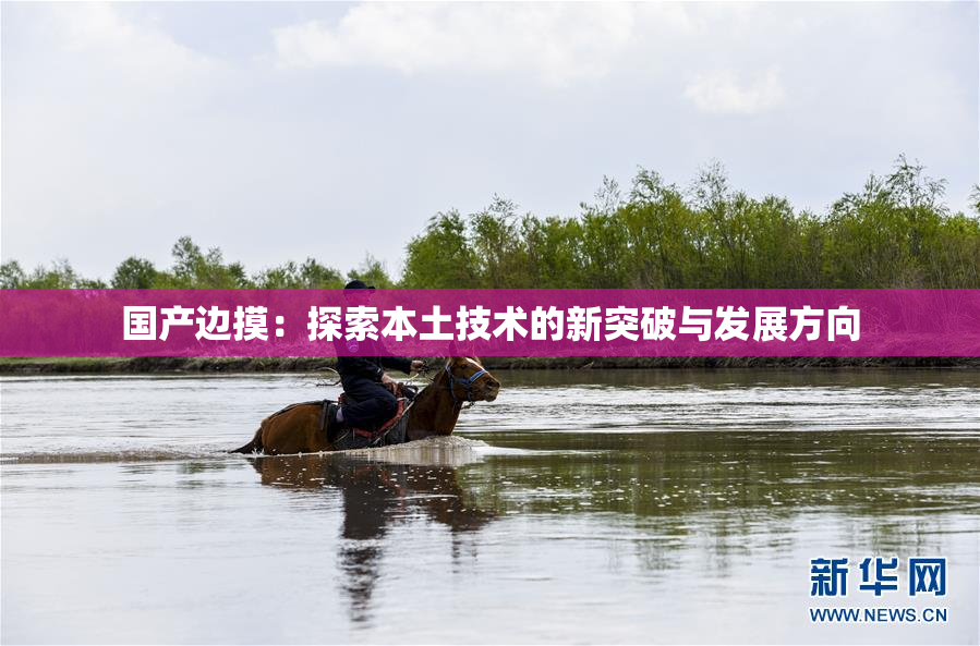国产边摸：探索本土技术的新突破与发展方向