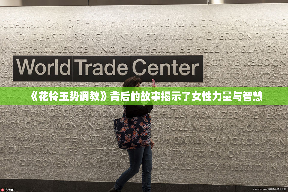 《花怜玉势调教》背后的故事揭示了女性力量与智慧