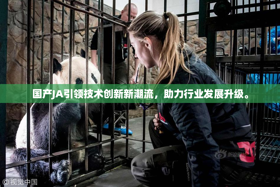 国产JA引领技术创新新潮流，助力行业发展升级。
