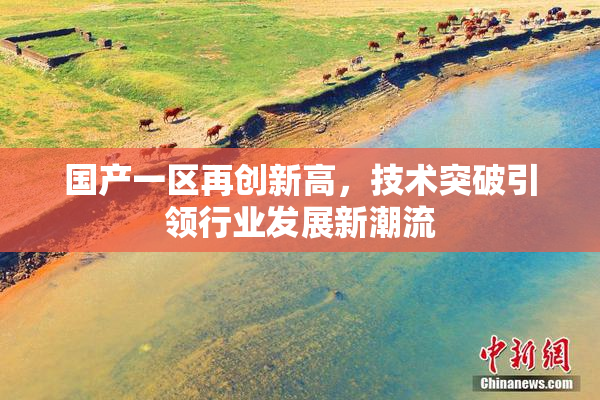 国产一区再创新高，技术突破引领行业发展新潮流