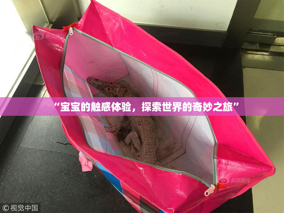 “宝宝的触感体验，探索世界的奇妙之旅”