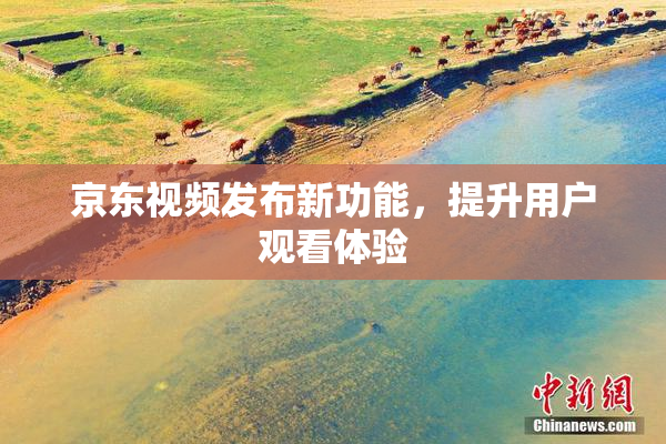 京东视频发布新功能，提升用户观看体验