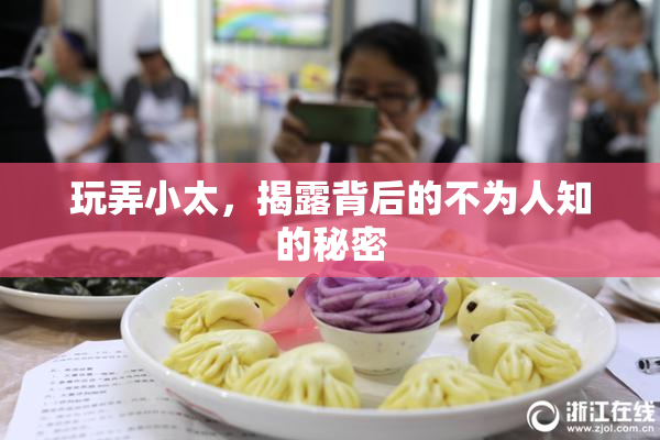 玩弄小太，揭露背后的不为人知的秘密