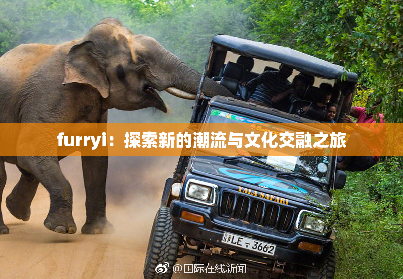 furryi：探索新的潮流与文化交融之旅