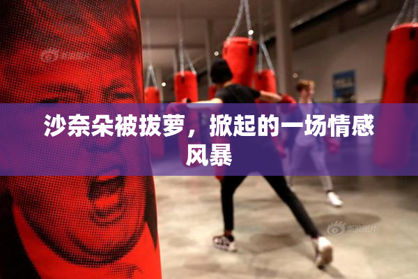 沙奈朵被拔萝，掀起的一场情感风暴