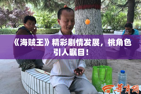 《海贼王》精彩剧情发展，桃角色引人瞩目！