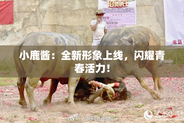 小鹿酱：全新形象上线，闪耀青春活力！