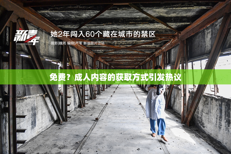 免费？成人内容的获取方式引发热议