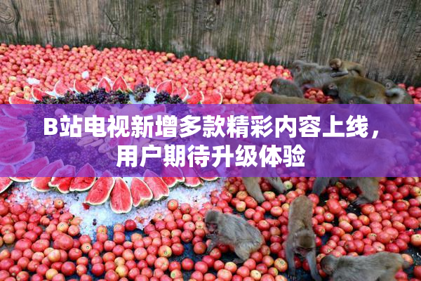 B站电视新增多款精彩内容上线，用户期待升级体验