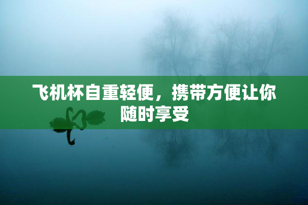 飞机杯自重轻便，携带方便让你随时享受