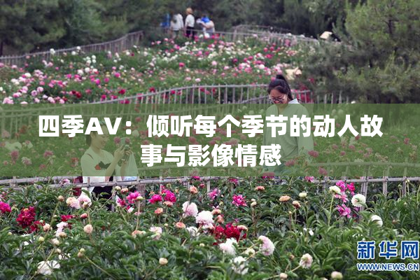 四季AV：倾听每个季节的动人故事与影像情感