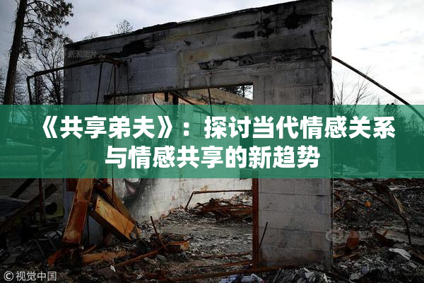 《共享弟夫》：探讨当代情感关系与情感共享的新趋势