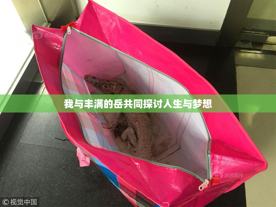 我与丰满的岳共同探讨人生与梦想