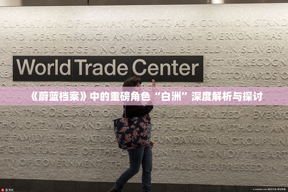 《蔚蓝档案》中的重磅角色“白洲”深度解析与探讨