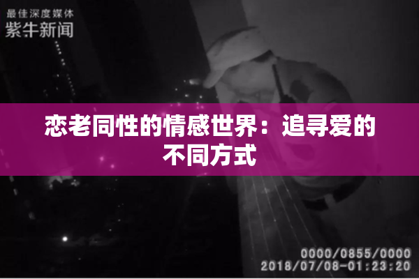恋老同性的情感世界：追寻爱的不同方式