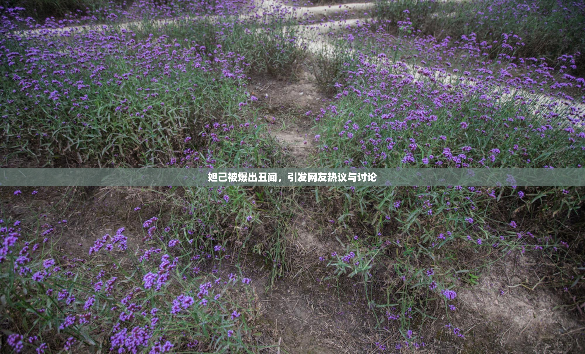 妲己被爆出丑闻，引发网友热议与讨论