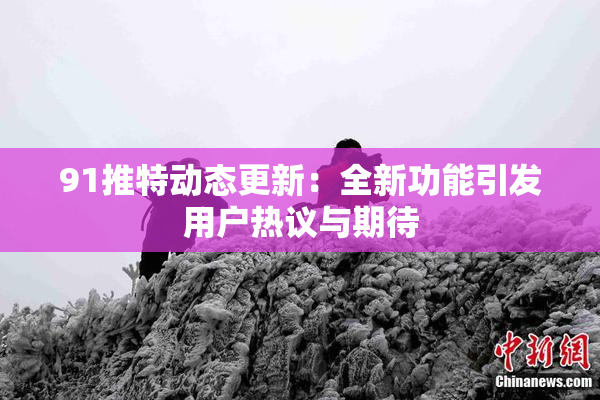 91推特动态更新：全新功能引发用户热议与期待