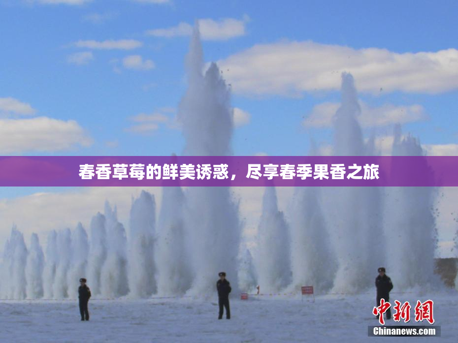 春香草莓的鲜美诱惑，尽享春季果香之旅