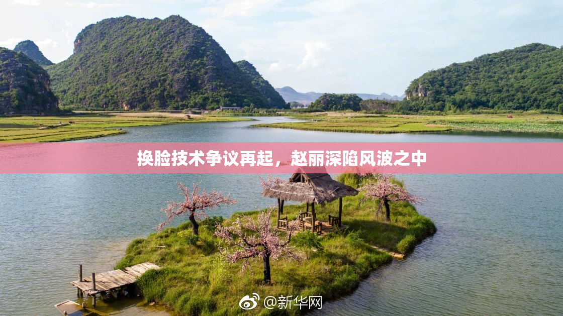 换脸技术争议再起，赵丽深陷风波之中