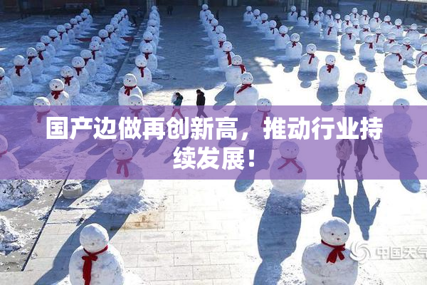 国产边做再创新高，推动行业持续发展！