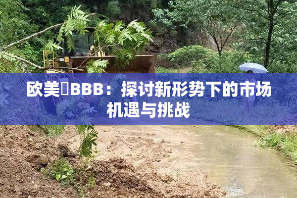 欧美槡BBB：探讨新形势下的市场机遇与挑战