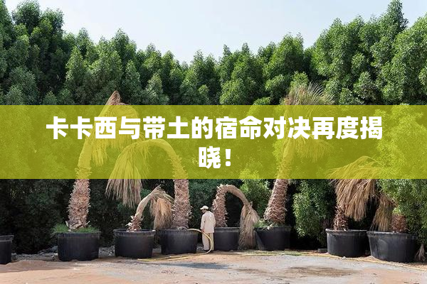 卡卡西与带土的宿命对决再度揭晓！
