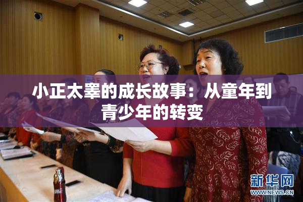 小正太睾的成长故事：从童年到青少年的转变