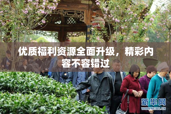 优质福利资源全面升级，精彩内容不容错过