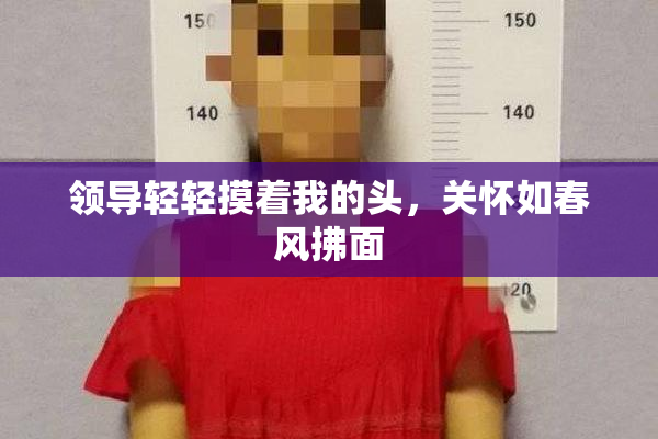 领导轻轻摸着我的头，关怀如春风拂面