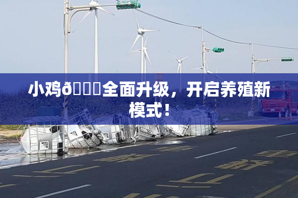 小鸡🐔全面升级，开启养殖新模式！