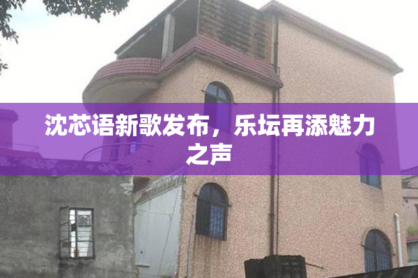 沈芯语新歌发布，乐坛再添魅力之声