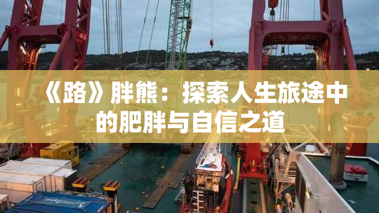《路》胖熊：探索人生旅途中的肥胖与自信之道