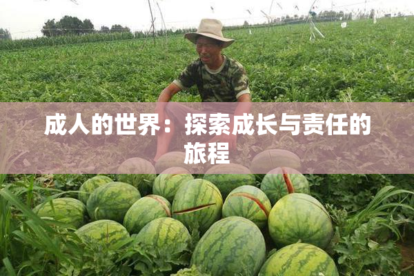 成人的世界：探索成长与责任的旅程