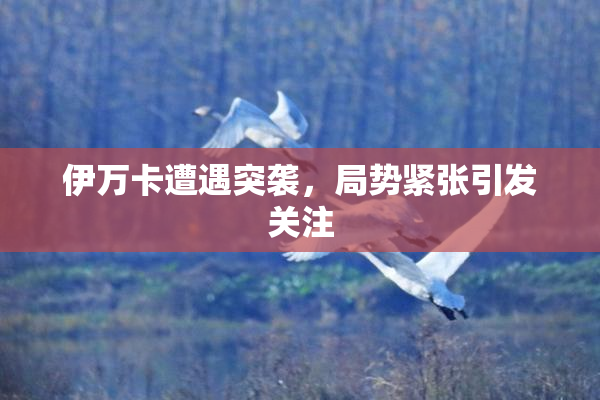 伊万卡遭遇突袭，局势紧张引发关注
