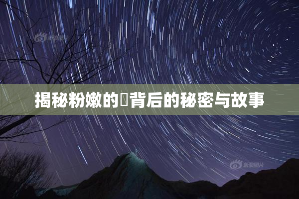 揭秘粉嫩的泬背后的秘密与故事