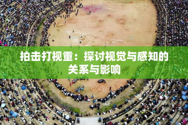 拍击打视重：探讨视觉与感知的关系与影响
