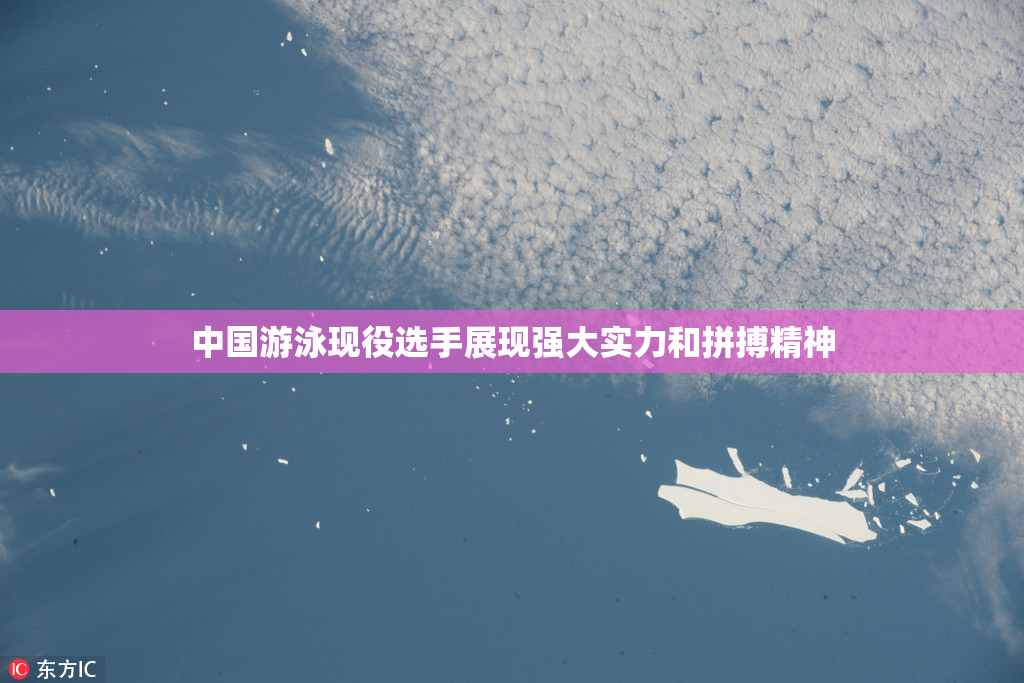 中国游泳现役选手展现强大实力和拼搏精神