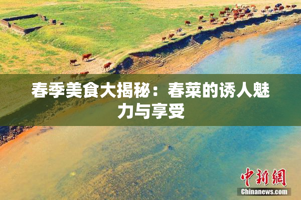 春季美食大揭秘：春菜的诱人魅力与享受