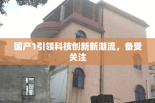 国产1引领科技创新新潮流，备受关注
