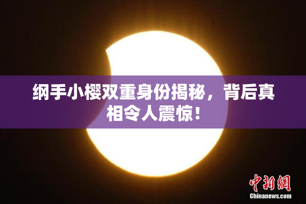 纲手小樱双重身份揭秘，背后真相令人震惊！